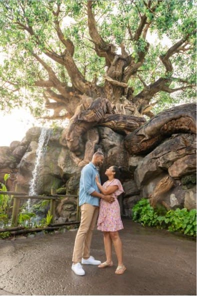 capture your moment disney photo session animal kingdom tree of life