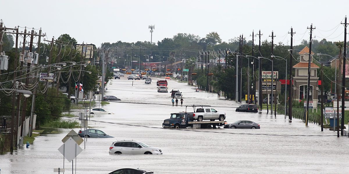 New Orleans Let Cars Park on Median to Avoid Hurricane Ida Damage