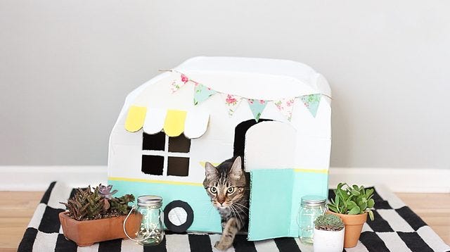 DIY Cardboard Kitty Camper - How to Make a Cat House Out 