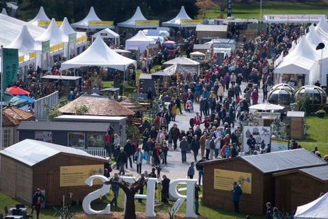 Cardiff Flower Show 2020 Rhs Cardiff Tickets Dates Location