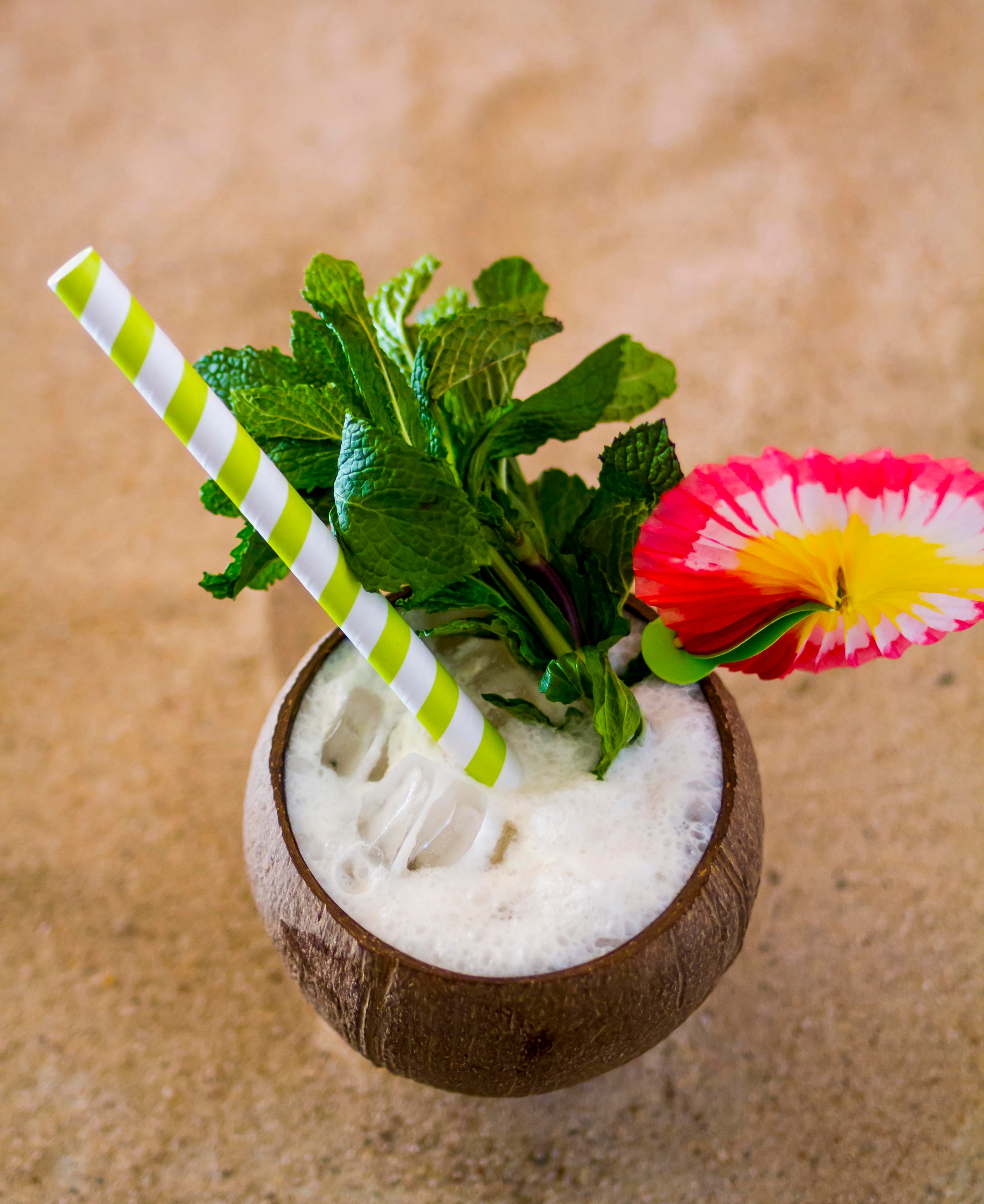 11 Best Coconut Drink Recipes - Easy and Delicious Coconut Cocktails