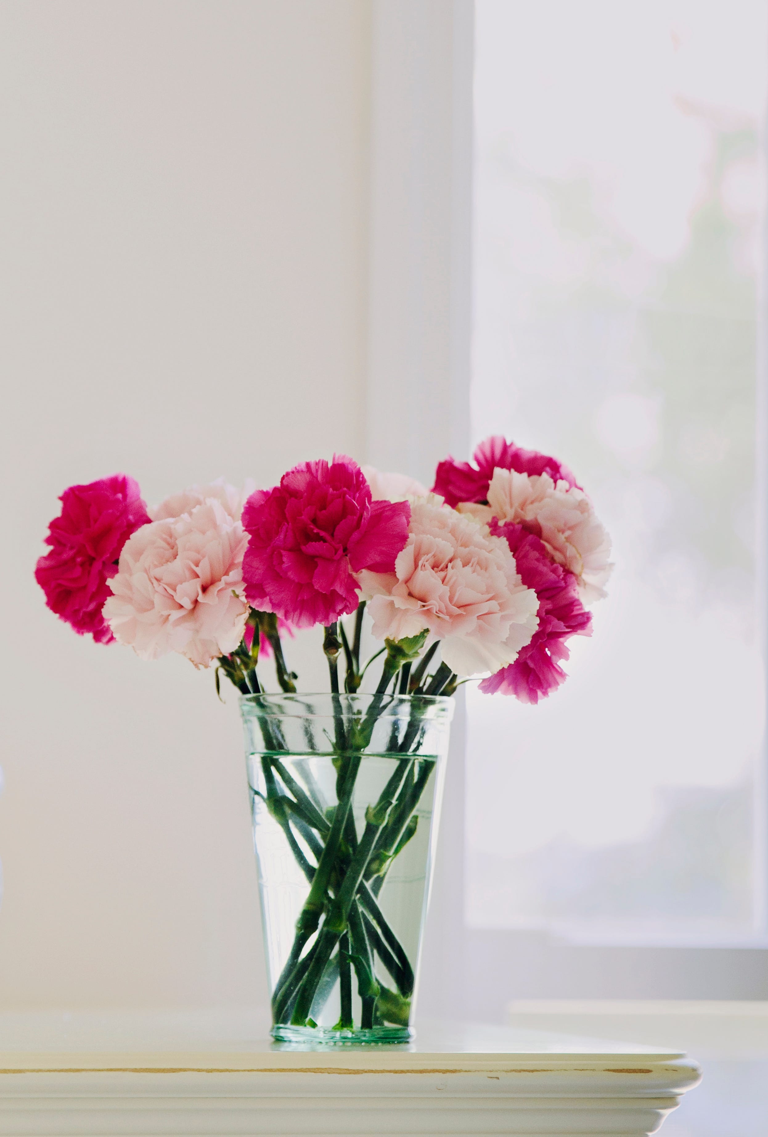 Blomst, Blomstrende plante, Pink, Snitblomster, Plante, Kronblad, Almindelig pæon, Blomsterdesign, Vase, Pæon, 