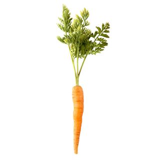types of penises- hairy carrot
