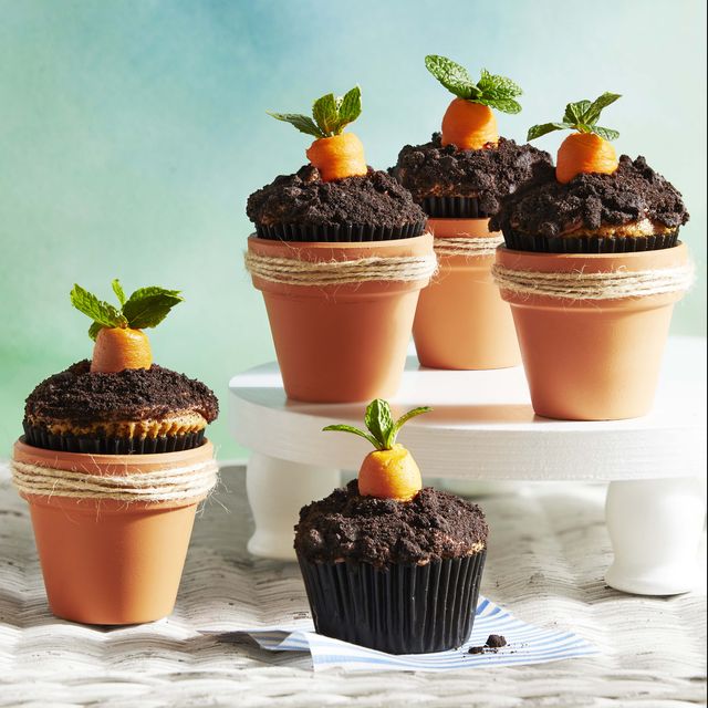 carrot patch cupcakes in terra cotta pots