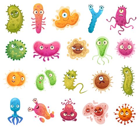 二裂酵母,益生菌,益生元,痘痘,口罩痘,蠕型蟎蟲,敷臉,面膜