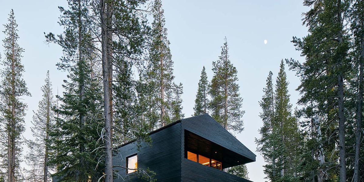 Una casa de madera de diseño en el bosque