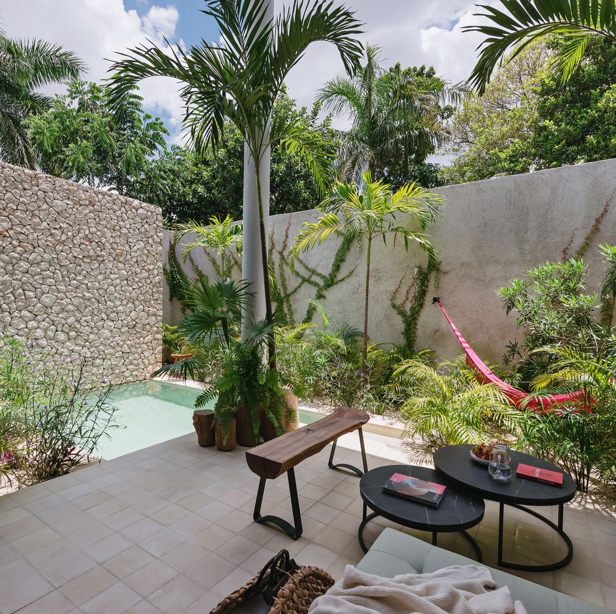 Una casa moderna con piscina, patio y muchas plantas