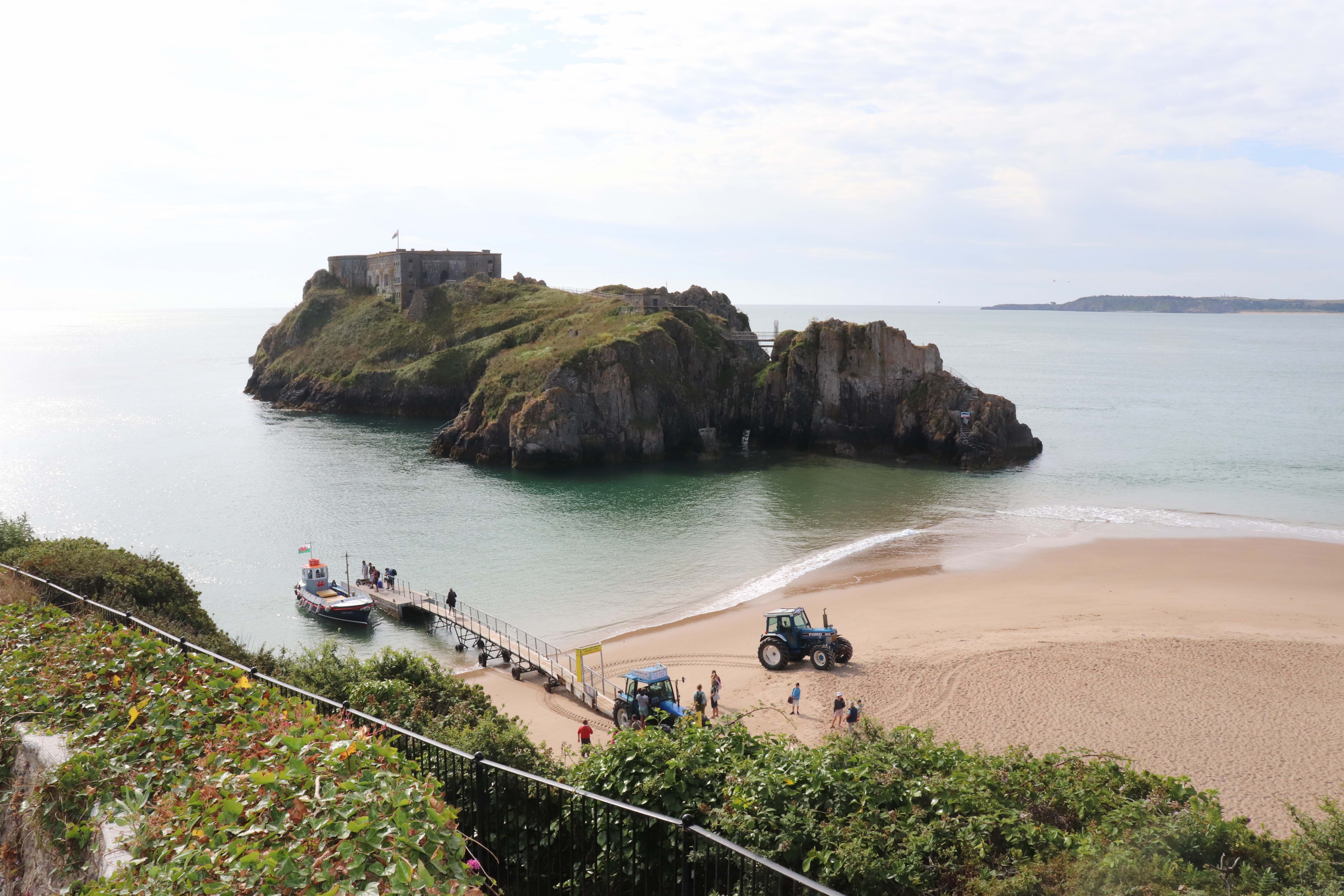 does tenby beach allow dogs