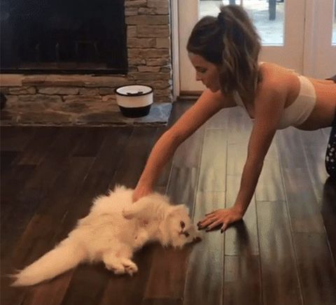 Kate Beckinsale Dusting Her Floor With Her Cat Video