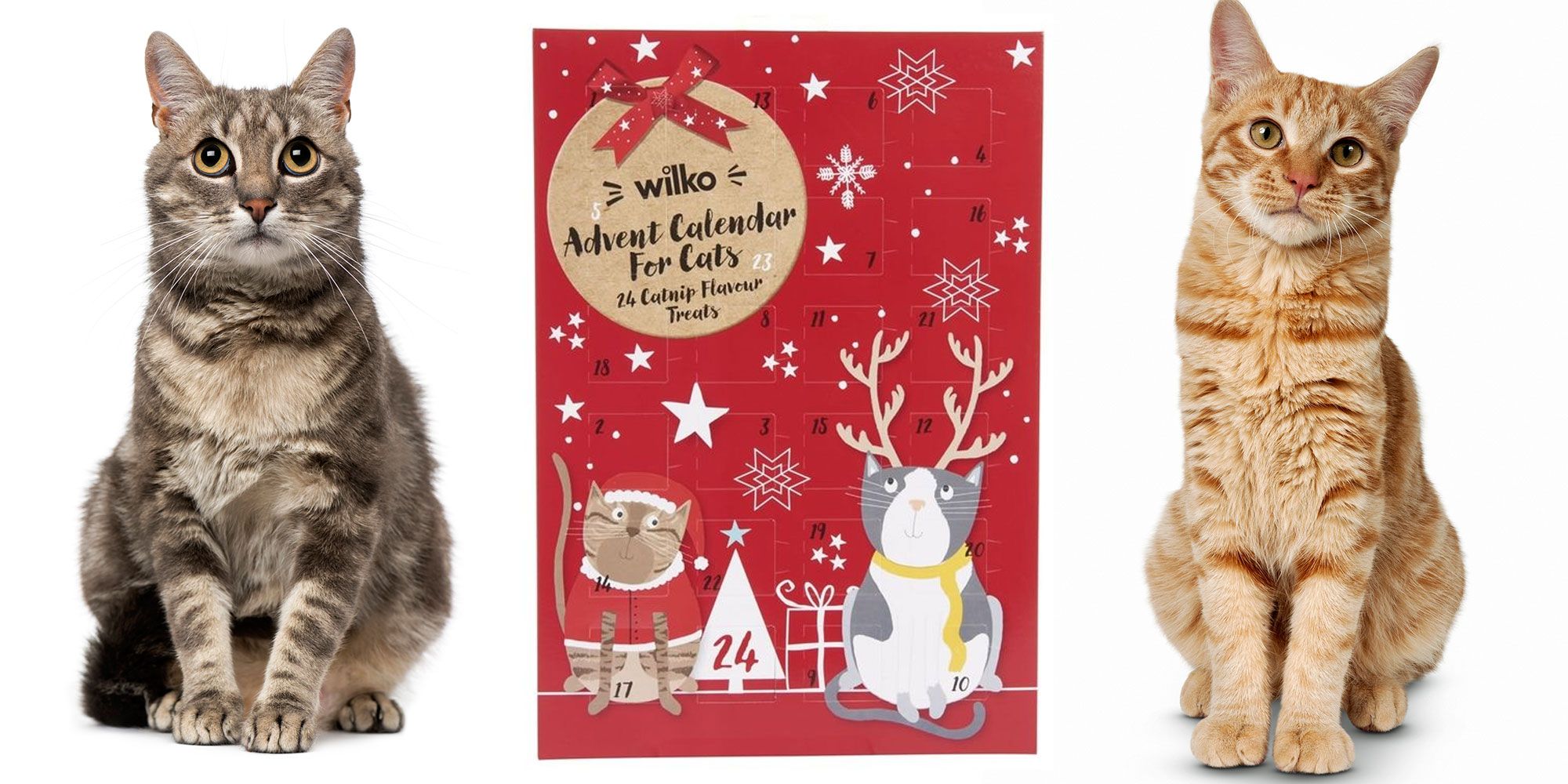 Details about   Trader Joe's Advent Calendar for CATS 2020 