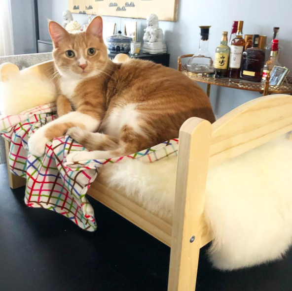 13 Toy Furniture Into Cat Beds, Pet Cat Bunk Beds Ikea