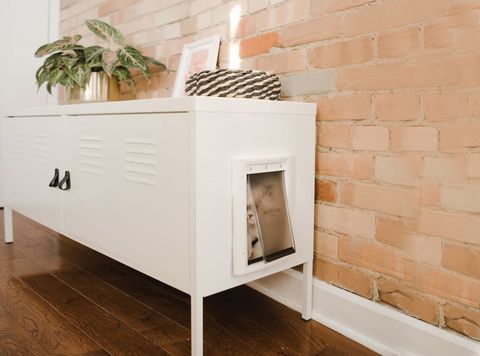 Here S A Shockingly Simple Way To Hide Your Cat Litter Box Diy Cabinet That Hides - Diy Cat Litter Box Enclosure
