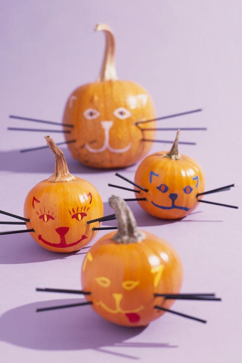60 Pumpkin Designs We Love For 2018 Decorating Ideas Cat Face Mini Pumpkins
