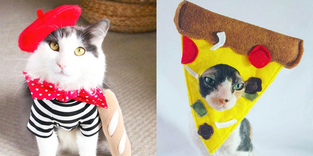 Best Cat Costumes
 Best Cat Halloween Costumes 2020 22 Creative Cat Halloween Costume Ideas