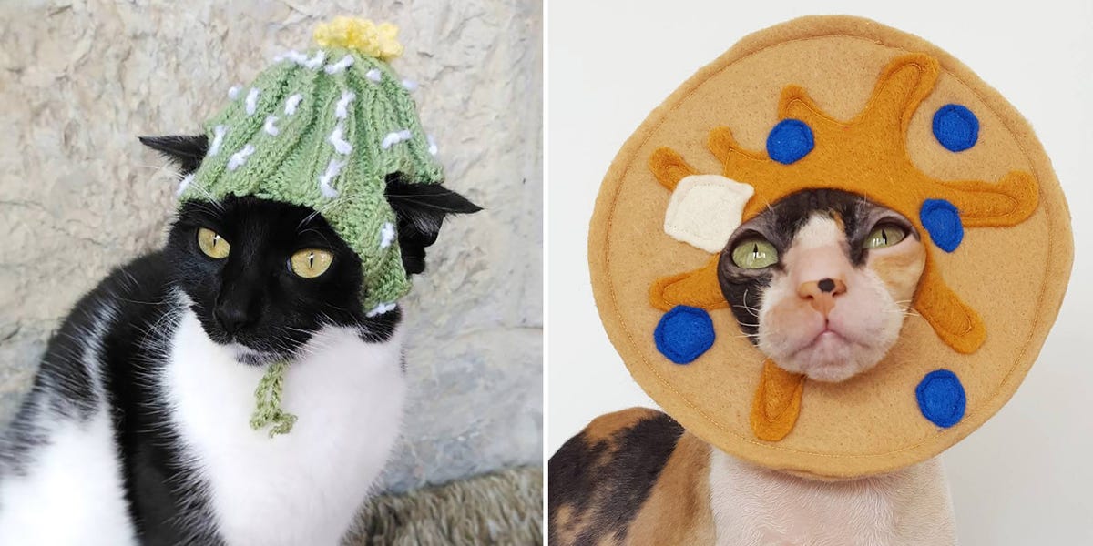 Best Cat Halloween Costumes 2020 Cute Ideas for Cat Costumes