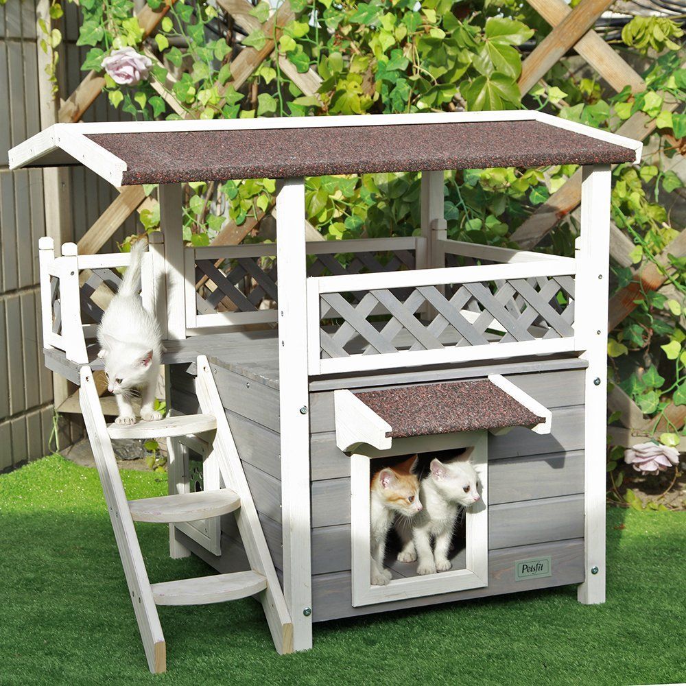 cat and dog house