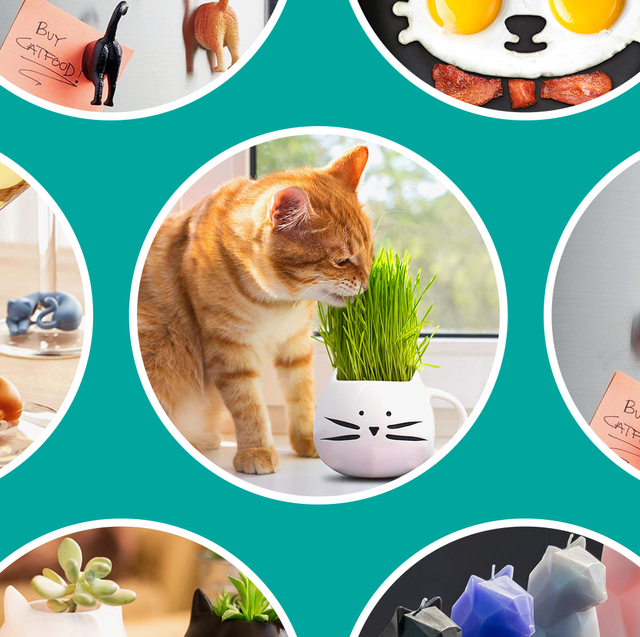 21 Best Gifts for Cat Lovers in 2022 - Cute Cat Gifts & Products