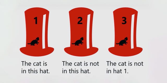 cat logic problem
