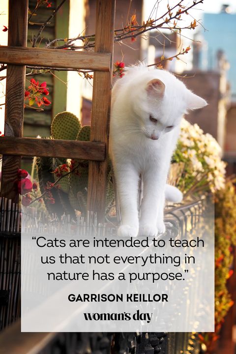 best cat quotes by garrison keillor