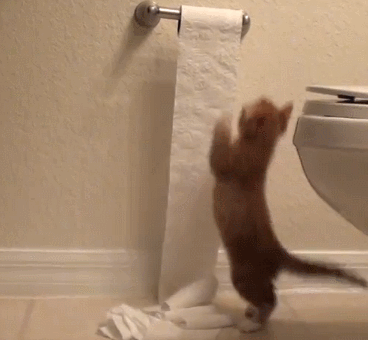 5 Science-Backed Ways to Make Yourself Poop