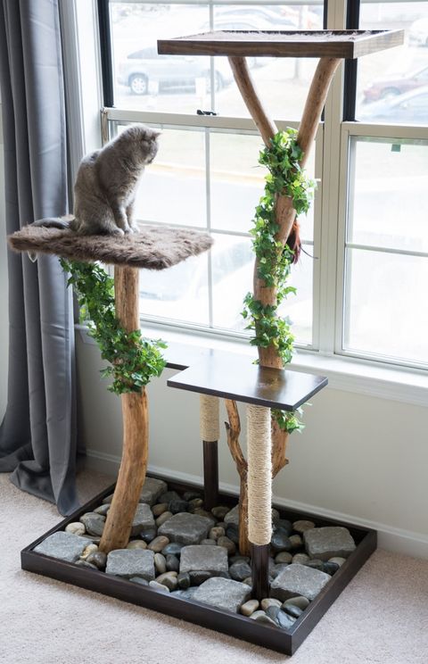cat tree with real branches