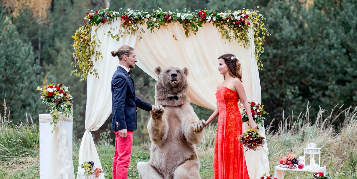 Russian Couple Gets Married by Bear - Why That's Not OK