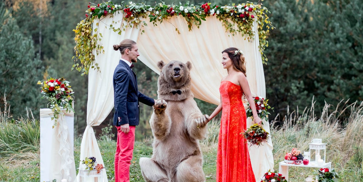 Russian Couple Gets Married by Bear - Why That's Not OK