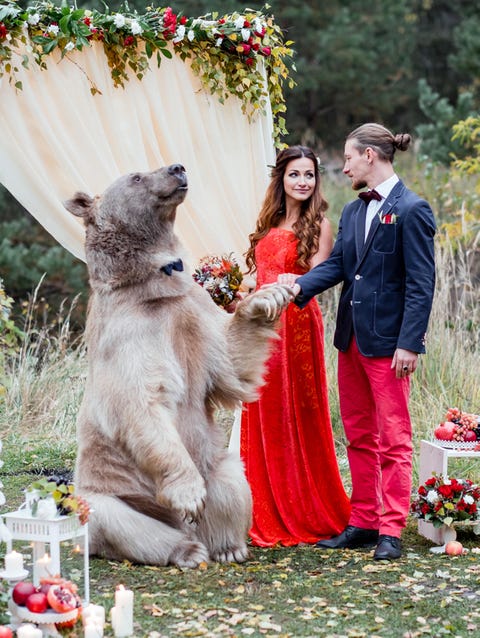 Russian Couple Gets Married by Bear - Why That's Not OK