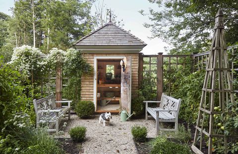 a pea stone path bordered by boxwood, veggies, and herbs leads to a shingled potting shed climbing the fence is sweet autumn clematis a westie dog stands in front of the doorway