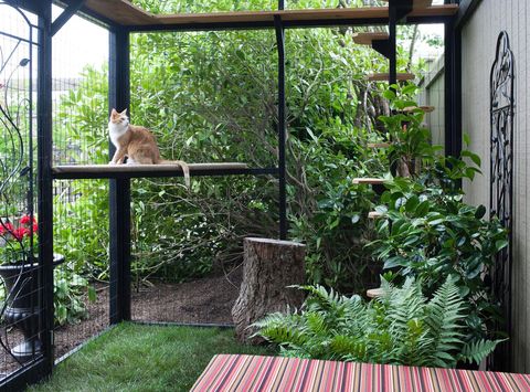 Catio Trend Outdoor Pet Cage For Cats, Outdoor Cat Enclosure Plans