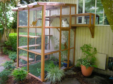 catio trend - outdoor pet cage for cats