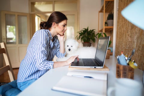 caucasian ethnicity, young woman using laptop at home while her dog is laying next to her