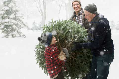 caucasian family carrying christmas tree through the snow