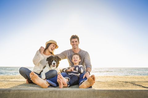 un padre y su madre posan con su hijo y su perro en una playa