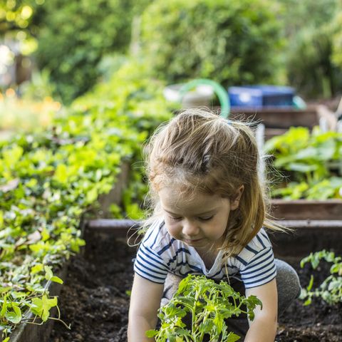 5 Garden Ideas For Kids How To Make Gardening Fun For Kids