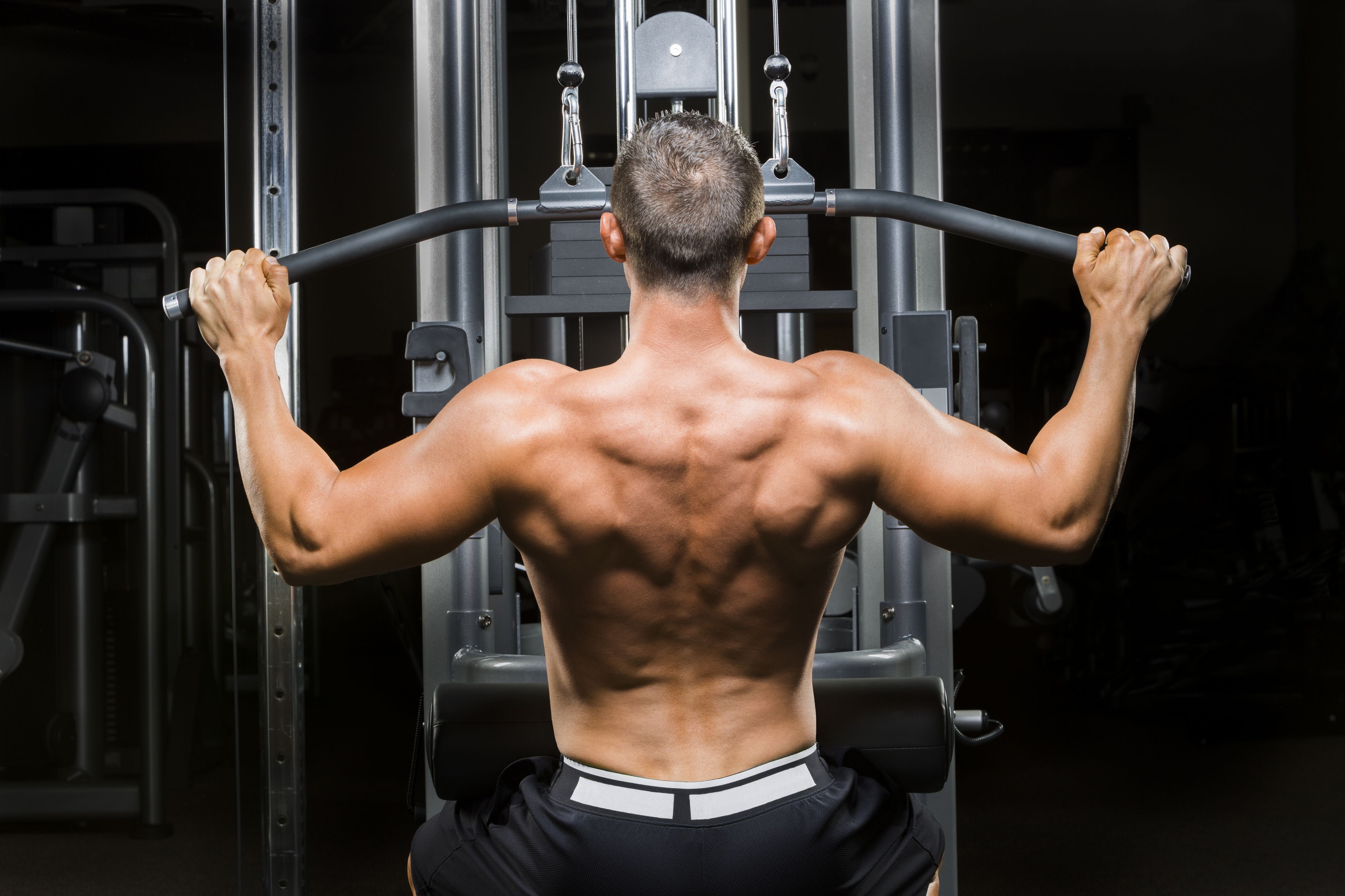 Back Workout Chart Step By Step