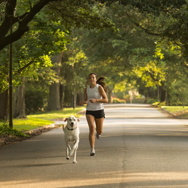 caucasian woman and dog jogging on neighborhood street