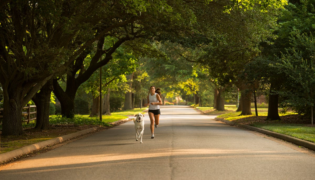 愛犬と一緒にランニングを楽しむ方法6