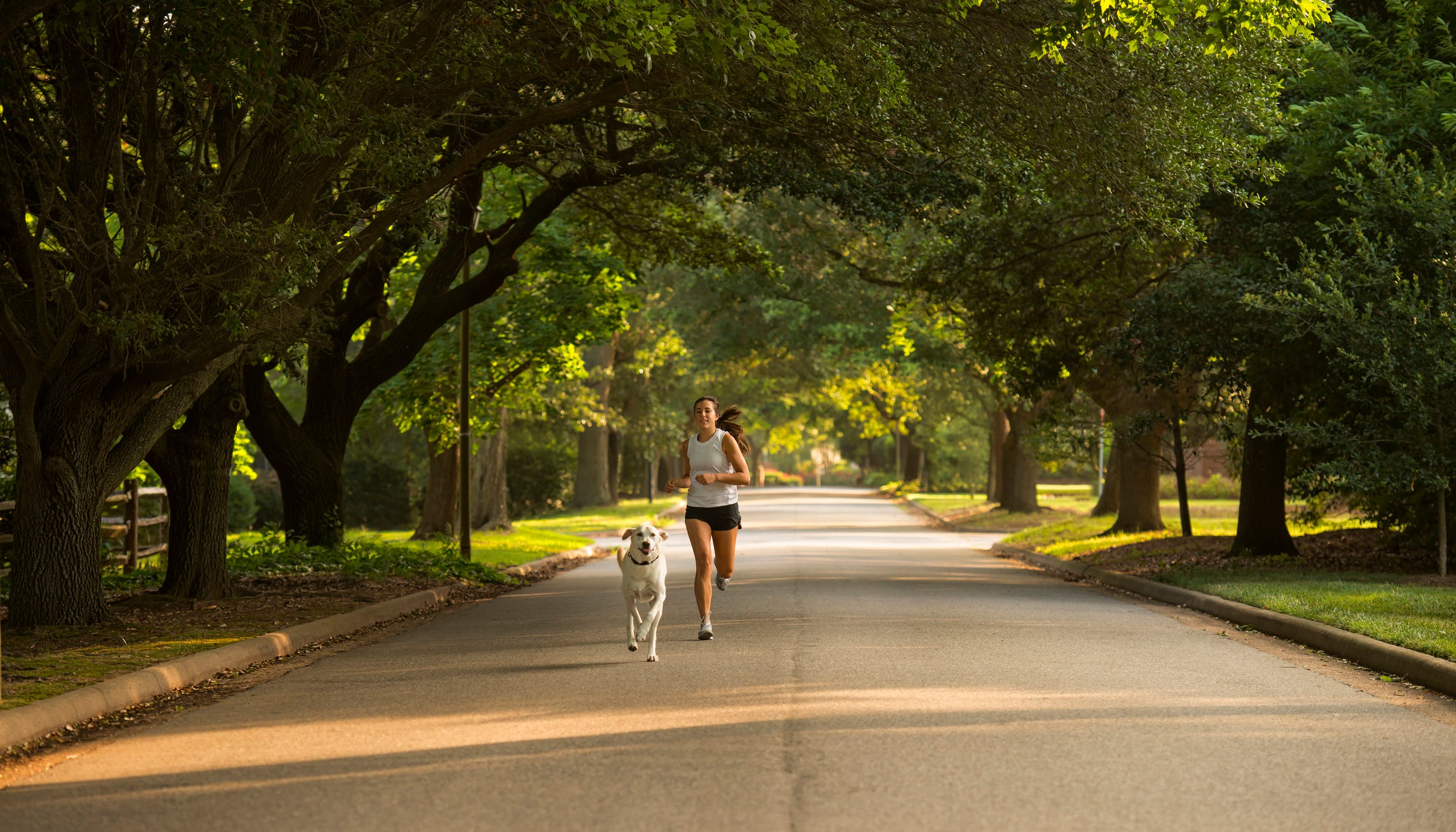Best Run Club Ever Gives Shelter Dogs Much-Needed Exercise