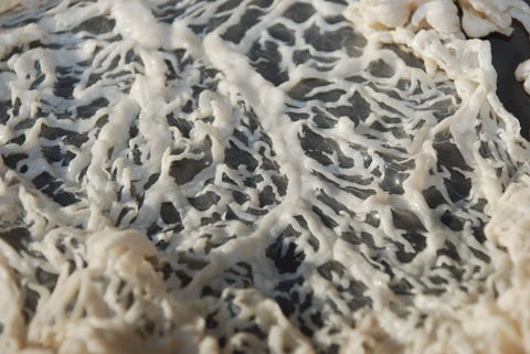 Rock, Geology, Pattern, Textile, Fur, 