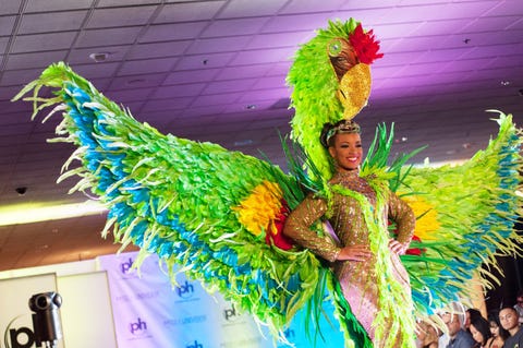 Dancer, Carnival, Dance, Performing arts, Event, Samba, Festival, Performance art, Performance, Plant, 