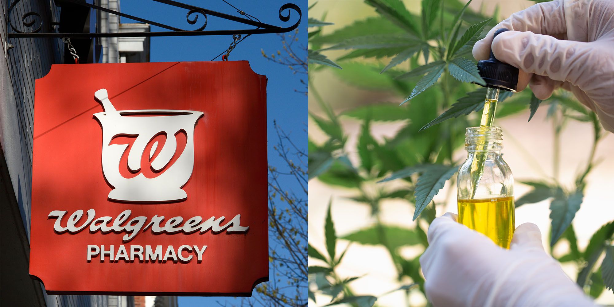 Walgreens Is Bringing CBD Products To 1500 Stores Across The Country