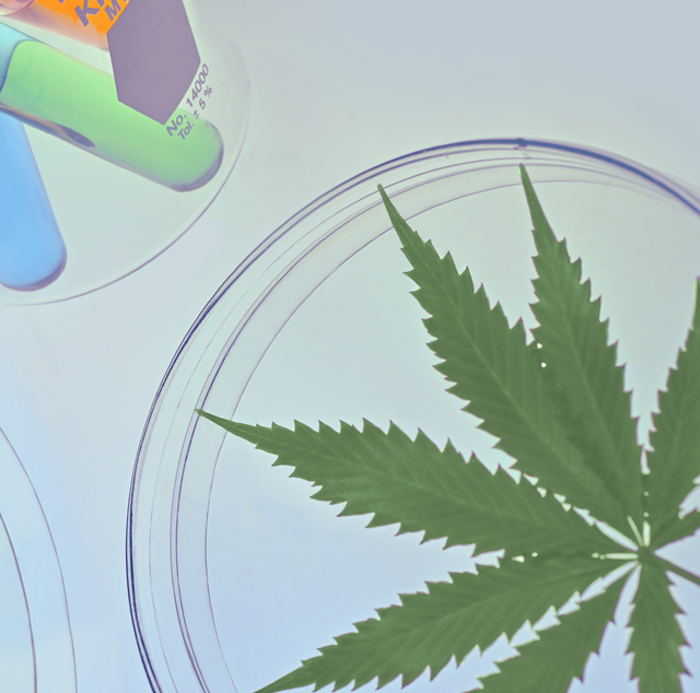 Best CBD for Anxiety - 8 Best CBD Products