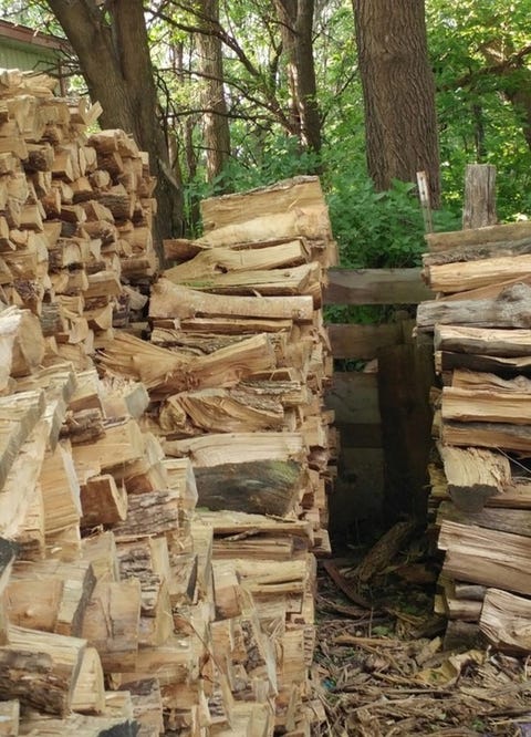 10 Viral Optical Illusions You Totally Can T Solve In Under Seconds 4 Can You Find The Cat In Wood Pile