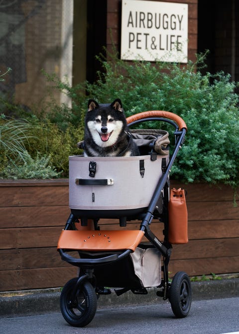 22年最新 ペットカート バギー 犬用カート のおすすめ15選 エアバギーなど折りたたみ可能も 22年最新 ペットカート バギー 犬用カート のおすすめ15選 エアバギーなど折りたたみ可能も