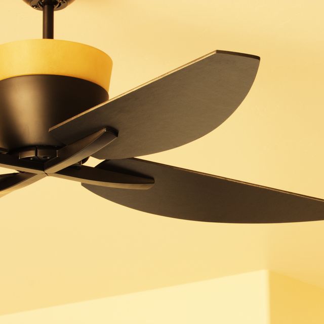 ceiling fan blade light fixture decor