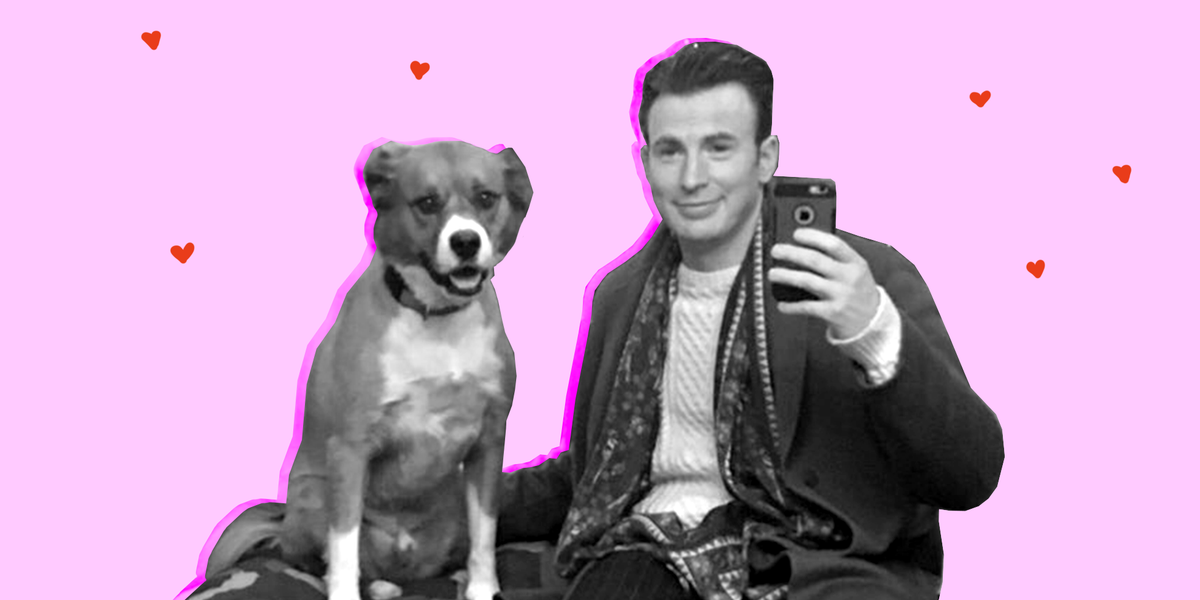 Galas And Dog Xxx Video - Hot Celebrity Guys with Dogs - Celebrity Baes Who Love Their Pet More Than  You