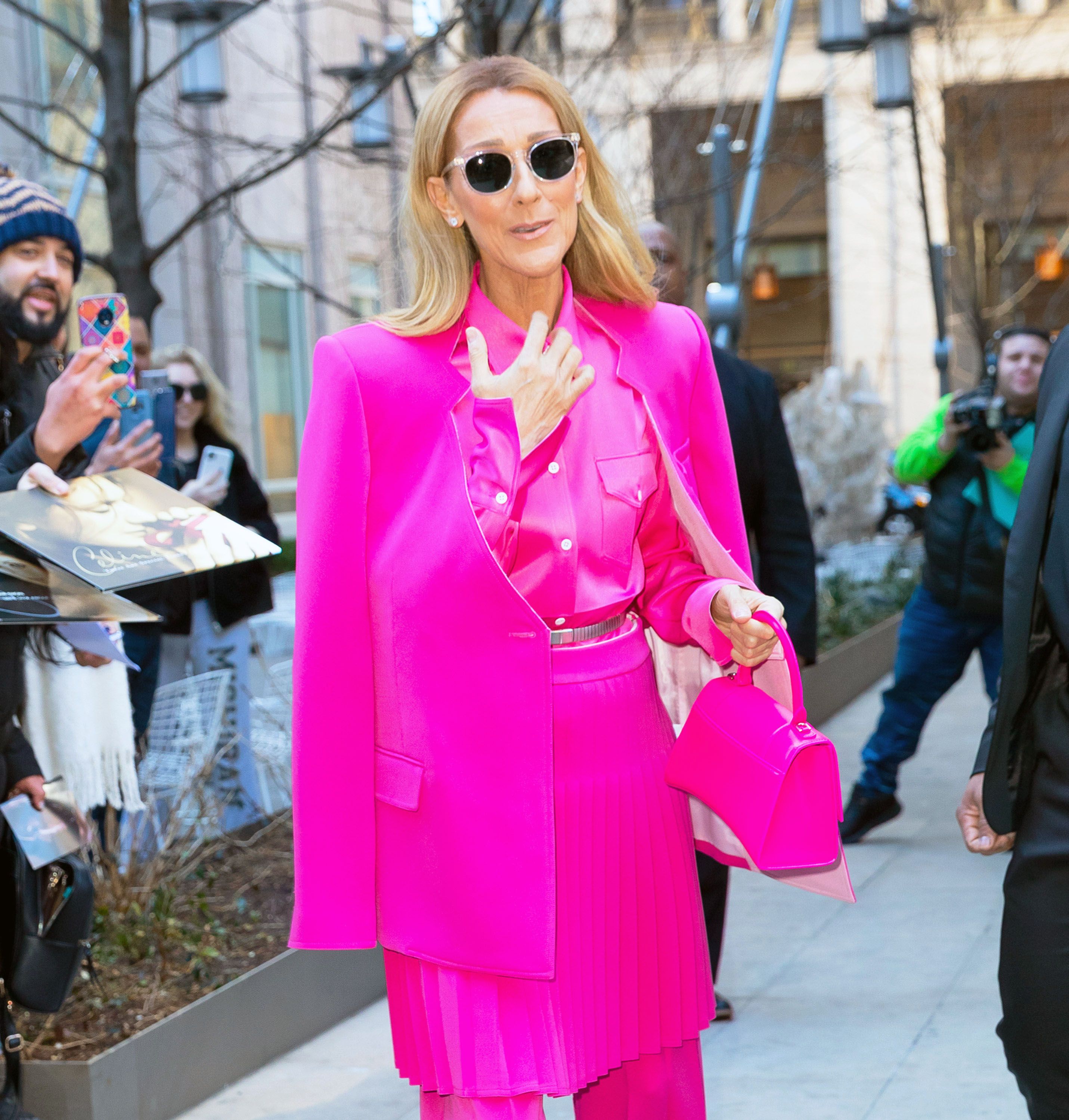 Celine Dion Wore a Skirt and Wide-Legged Pants in a Bold, Head-to-Toe ...