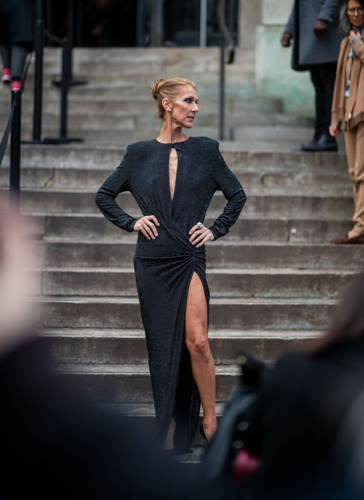 Celine Dion Is a High Fashion Flight Attendant in This Plunging ...