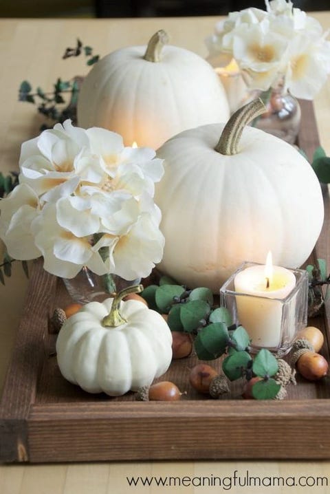 White Pumpkin Ideas
 25 Best White Pumpkin Décor Ideas White Pumpkin Decorating Ideas